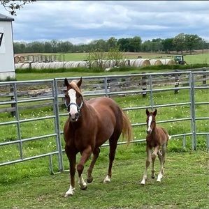 Meet your Posher, Annette